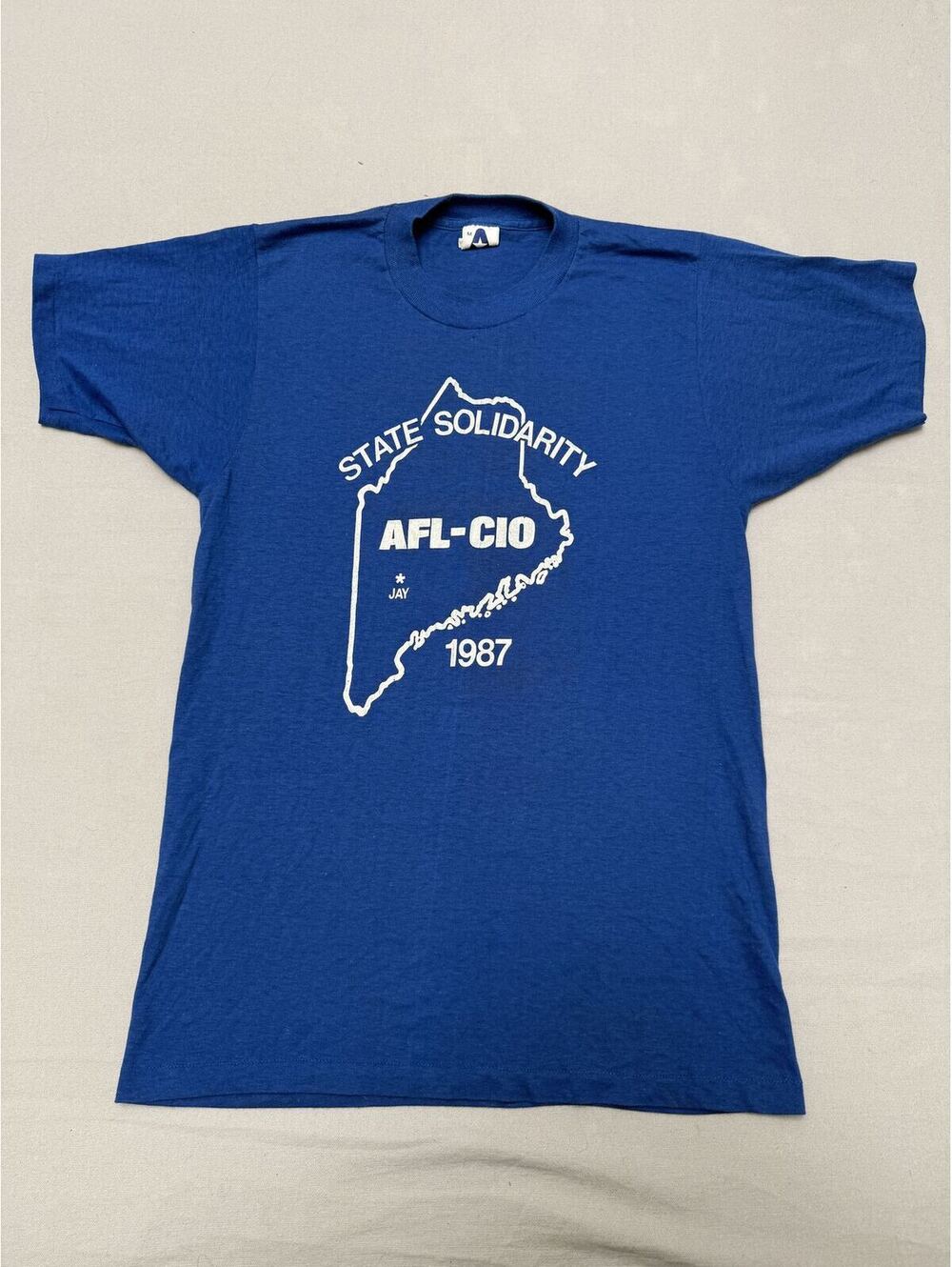Vintage AFL-Cio IP International Paper Stike Jay Maine - M